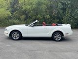 Used 2005 Ford Mustang Premium image 2