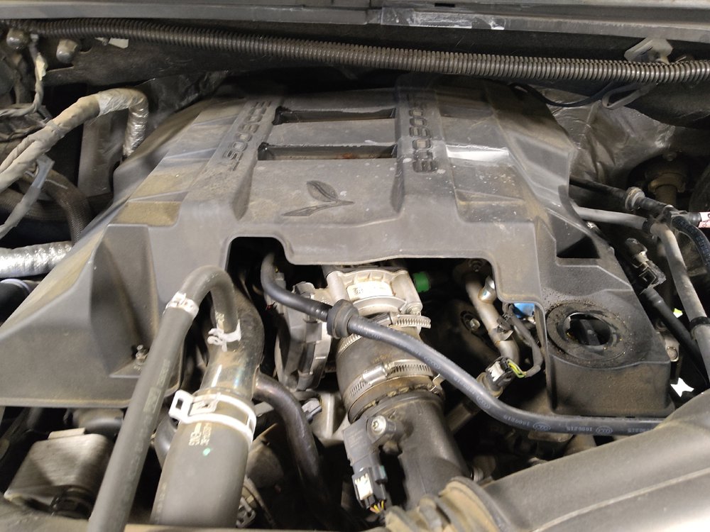 Used 2018 Ford F150 XLT w/ Equipment Group 302A Luxury RWD image 30