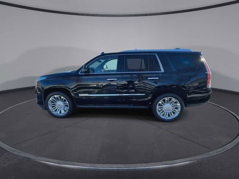 Used 2017 Cadillac Escalade Platinum image 5