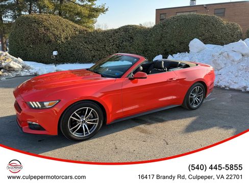 Used 2015 Ford Mustang Premium RWD image 3