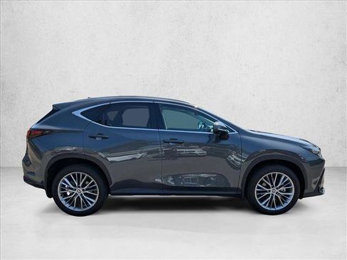 Used 2025 Lexus NX 350h AWD w/ Cold Area Package image 4