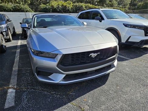 Used 2025 Ford Mustang EcoBoost image 4