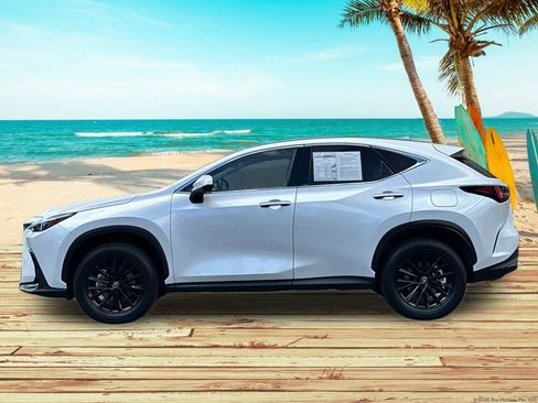 Used 2025 Lexus NX 350h AWD w/ Cold Area Package image 3