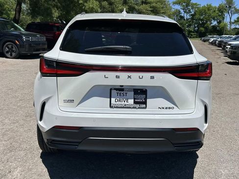 Used 2024 Lexus NX 250 FWD w/ Cold Area Package image 6