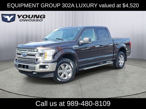 Used 2018 Ford F150 XLT w/ Equipment Group 302A Luxury image 1