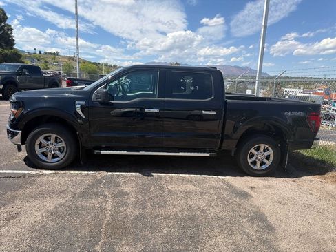 Used 2025 Ford F150 XLT w/ Equipment Group 301A Standard AWD/4WD image 6