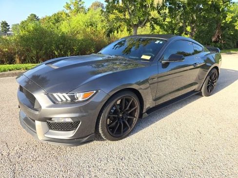 Used 2016 Ford Mustang Shelby GT350 w/ Technology Package RWD image 1