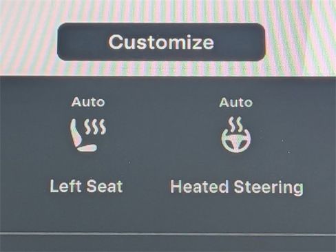 Used 2021 Tesla Model 3 Standard Range Plus image 25