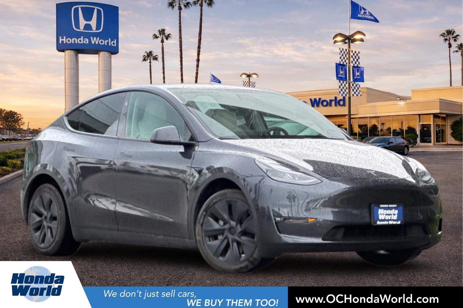 Used 2024 Tesla Model Y Long Range AWD/4WD image 1