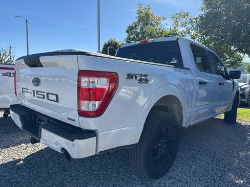 Used 2023 Ford F150 XL w/ STX Black Appearance Package image 3