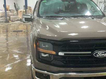 New 2025 Ford F150 XLT w/ Equipment Group 302A MID