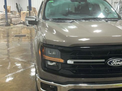 New 2025 Ford F150 XLT w/ Equipment Group 302A MID image 3