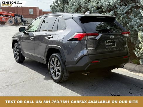 Used 2025 Toyota RAV4 XLE Premium image 6
