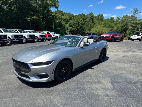 New 2025 Ford Mustang Convertible w/ Mustang Nite Pony Package image 12