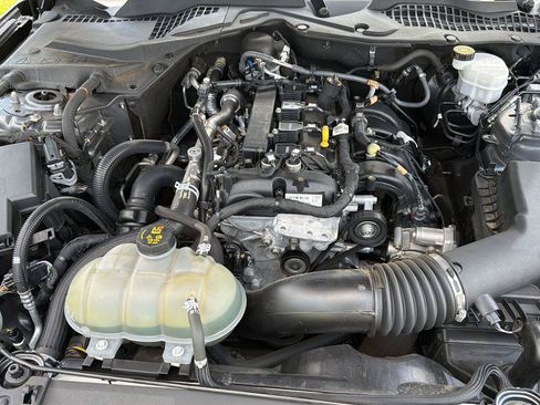 Used 2021 Ford Mustang Coupe w/ Equipment Group 101A RWD image 29