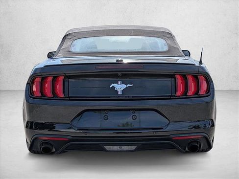 Used 2019 Ford Mustang Premium w/ Equipment Group 201A RWD image 4