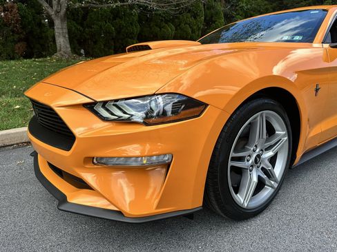 Used 2019 Ford Mustang Coupe w/ Ecoboost Performance Package RWD image 62