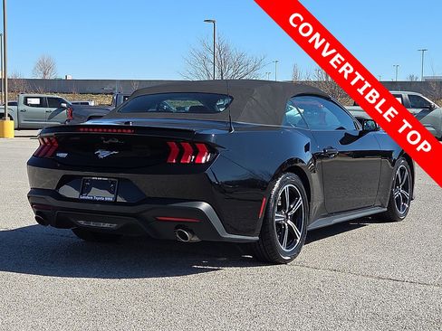 Used 2024 Ford Mustang Premium image 5