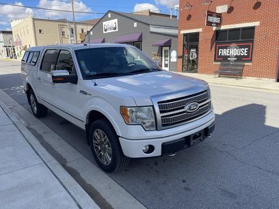 Used 2010 Ford F150 Platinum