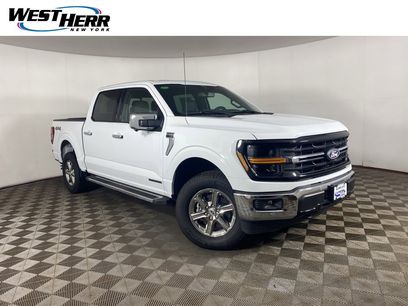 Used 2025 Ford F150 XLT w/ Equipment Group 302A MID