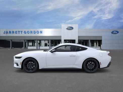 New 2026 Ford Mustang Coupe w/ Mustang Nite Pony Package RWD image 3