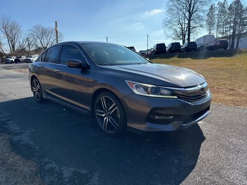 Used 2017 Honda Accord Sport Special Edition image 2
