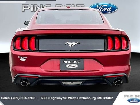 Used 2019 Ford Mustang Coupe w/ Equipment Group 101A image 4