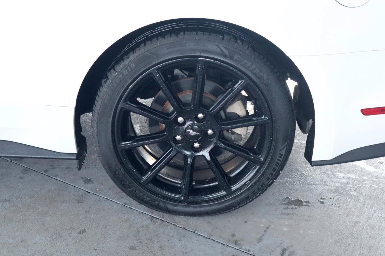Used 2019 Ford Mustang Coupe RWD image 11