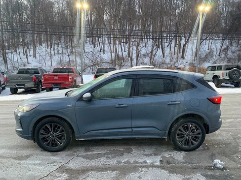 Used 2024 Ford Escape ST-Line Elite w/ Premium Technology Package image 6