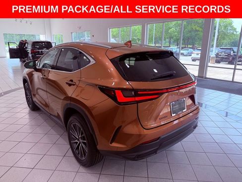 Certified 2025 Lexus NX 250 FWD w/ Accessory Package (K3) image 6