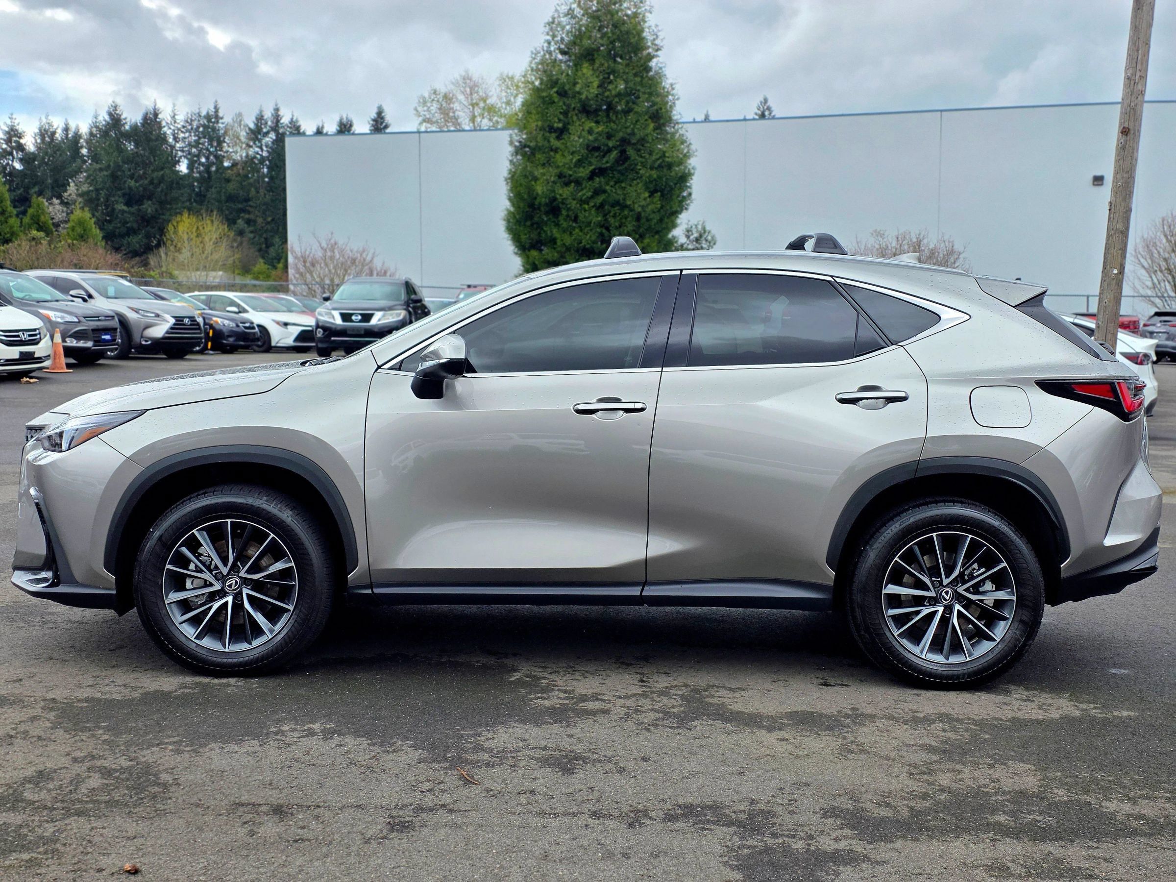 Used 2025 Lexus NX 350 AWD w/ Premium Package image 4