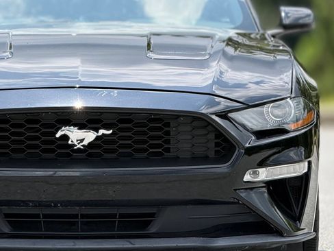 Used 2019 Ford Mustang Premium RWD image 15