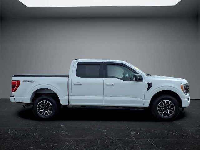 Used 2023 Ford F150 XLT w/ Equipment Group 302A High AWD/4WD image 2