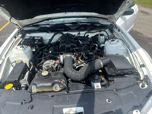 Used 2010 Ford Mustang Coupe image 42