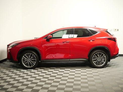Certified 2025 Lexus NX 350 AWD w/ Cold Area Package image 5
