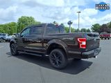Used 2019 Ford F150 XLT w/ Equipment Group 302A Luxury image 4