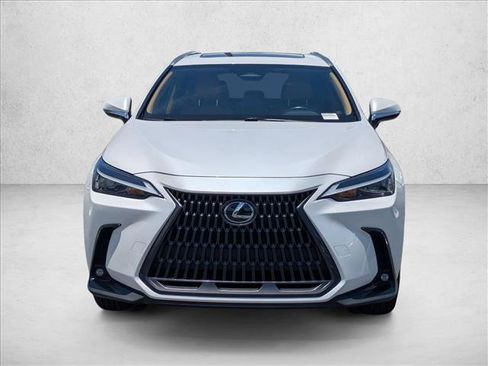 Used 2024 Lexus NX 350h AWD w/ Cold Area Package image 2