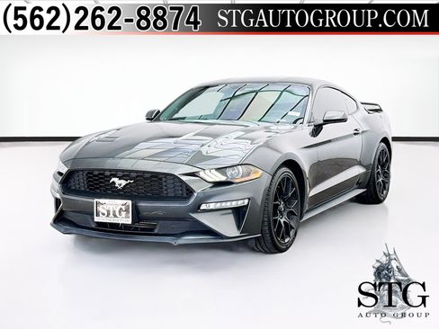 Used 2019 Ford Mustang Premium w/ Ecoboost Performance Package RWD image 1
