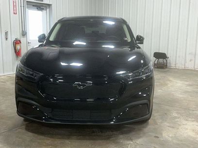 New 2025 Ford Mustang Mach-E Premium