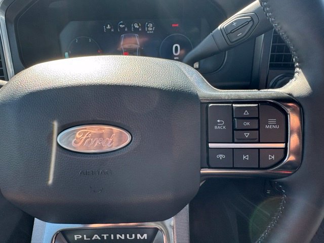 New 2027 Ford F250 Platinum AWD/4WD image 29
