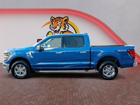 Used 2025 Ford F150 XLT w/ Equipment Group 301A Standard AWD/4WD image 9