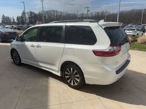 Used 2019 Toyota Sienna Limited Premium image 5