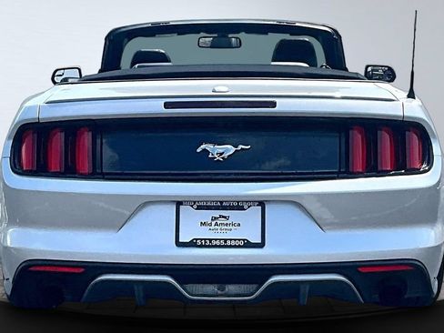 Used 2017 Ford Mustang Premium RWD image 4
