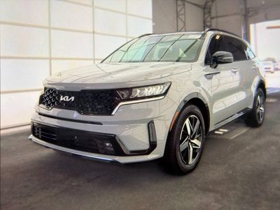 Used 2023 Kia Sorento EX w/ Panoramic Sunroof Package