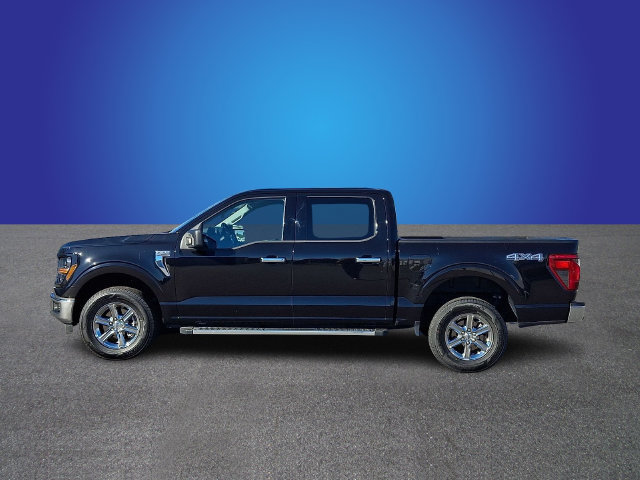 Used 2025 Ford F150 XLT w/ Equipment Group 301A Standard AWD/4WD image 7