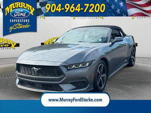 Certified 2024 Ford Mustang Premium RWD image 1