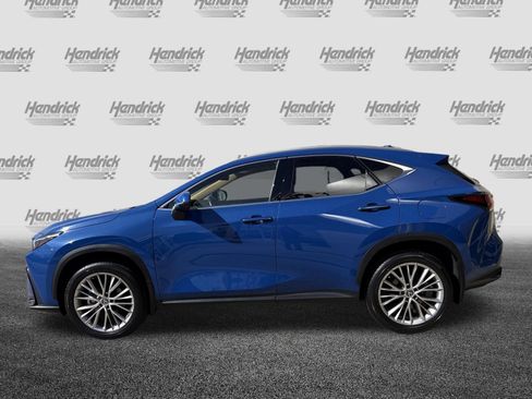 Used 2025 Lexus NX 350 350 Premium image 7
