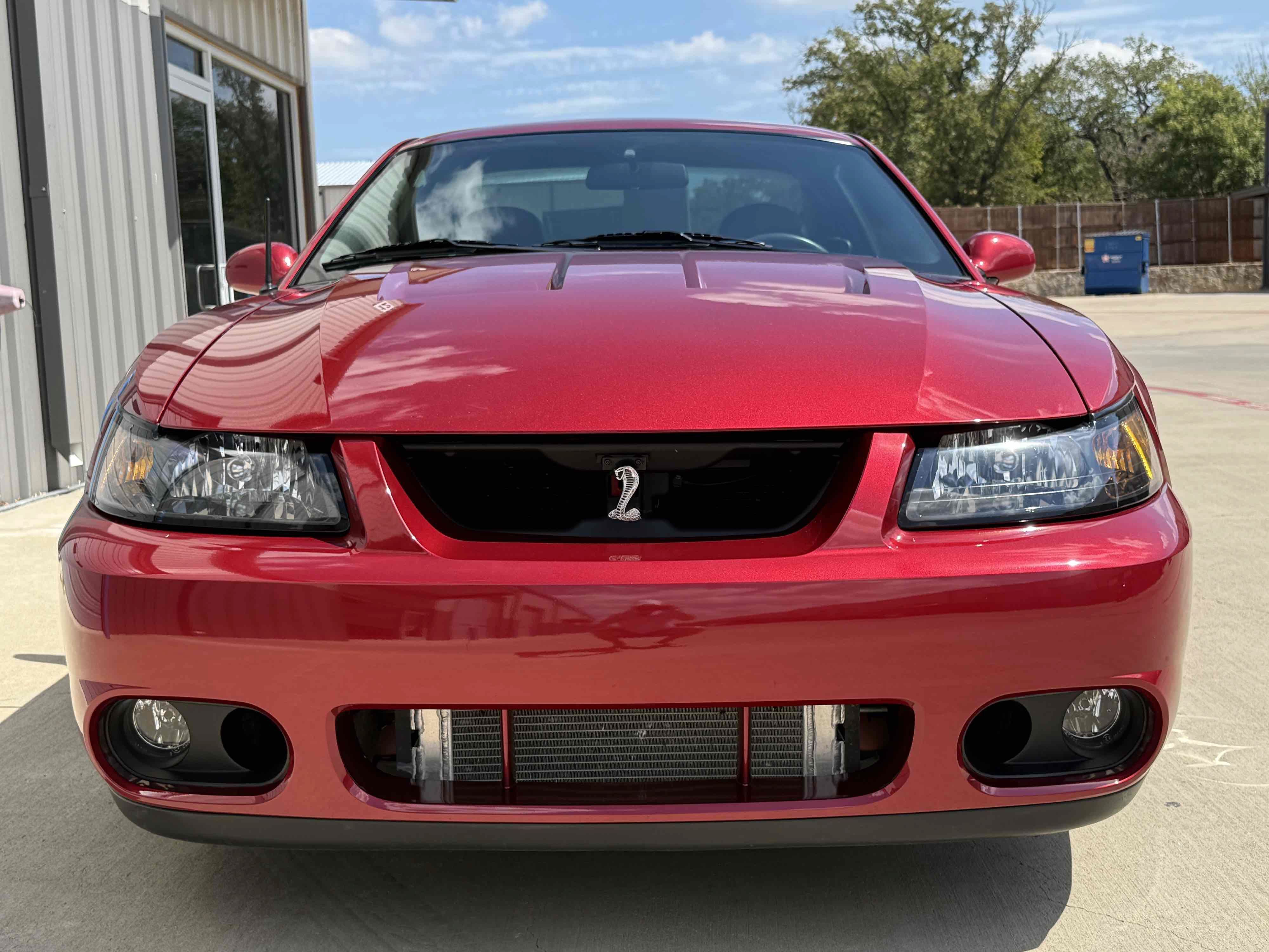 Used 2003 Ford Mustang Cobra RWD image 4