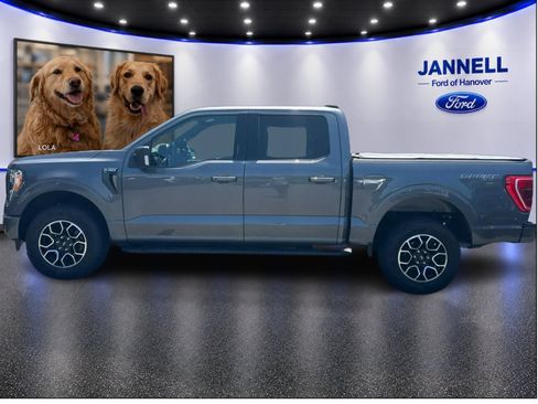 Used 2023 Ford F150 XLT w/ Equipment Group 302A High AWD/4WD image 9