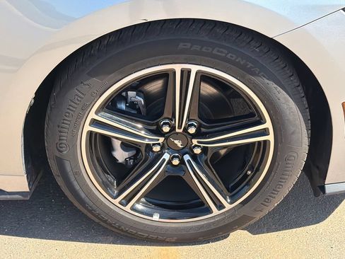 Used 2025 Ford Mustang Premium RWD image 12